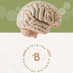 Collection image for: Cérebro