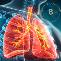 Collection image for: Sistema respiratório