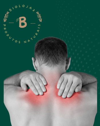 Músculos e Articulações