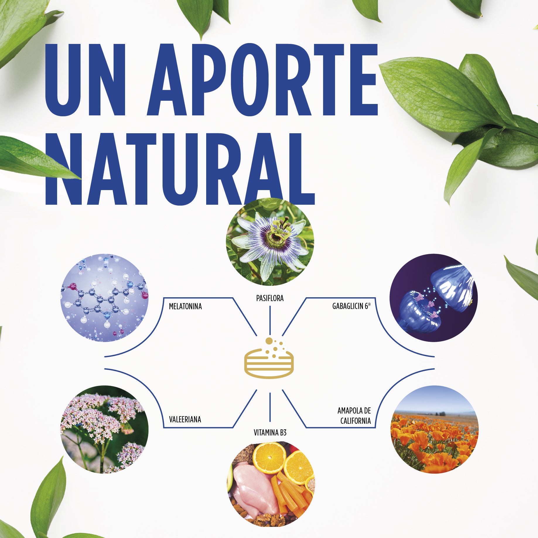 Buenas Noches Total 30 comp.